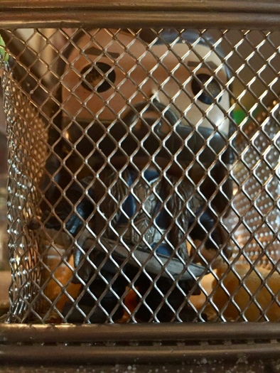 Poor Thorin behind bars