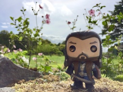Thorin enjoying the scenery