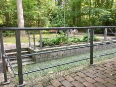 Local Kneipp pool in the woods